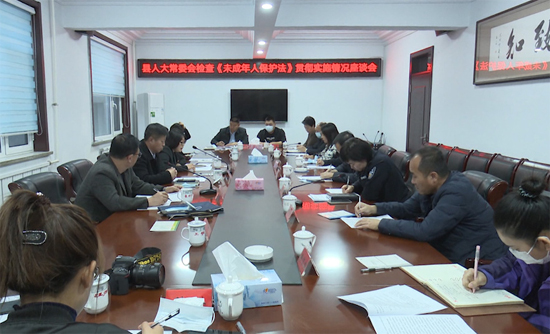 县人大常委会开展《未成年人保护法》贯彻落实情况执法检查