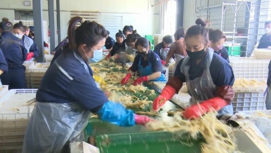 加快建设辽东绿色经济先行区 书写绿色发展新篇章